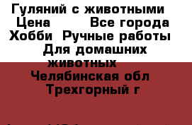 Гуляний с животными › Цена ­ 70 - Все города Хобби. Ручные работы » Для домашних животных   . Челябинская обл.,Трехгорный г.